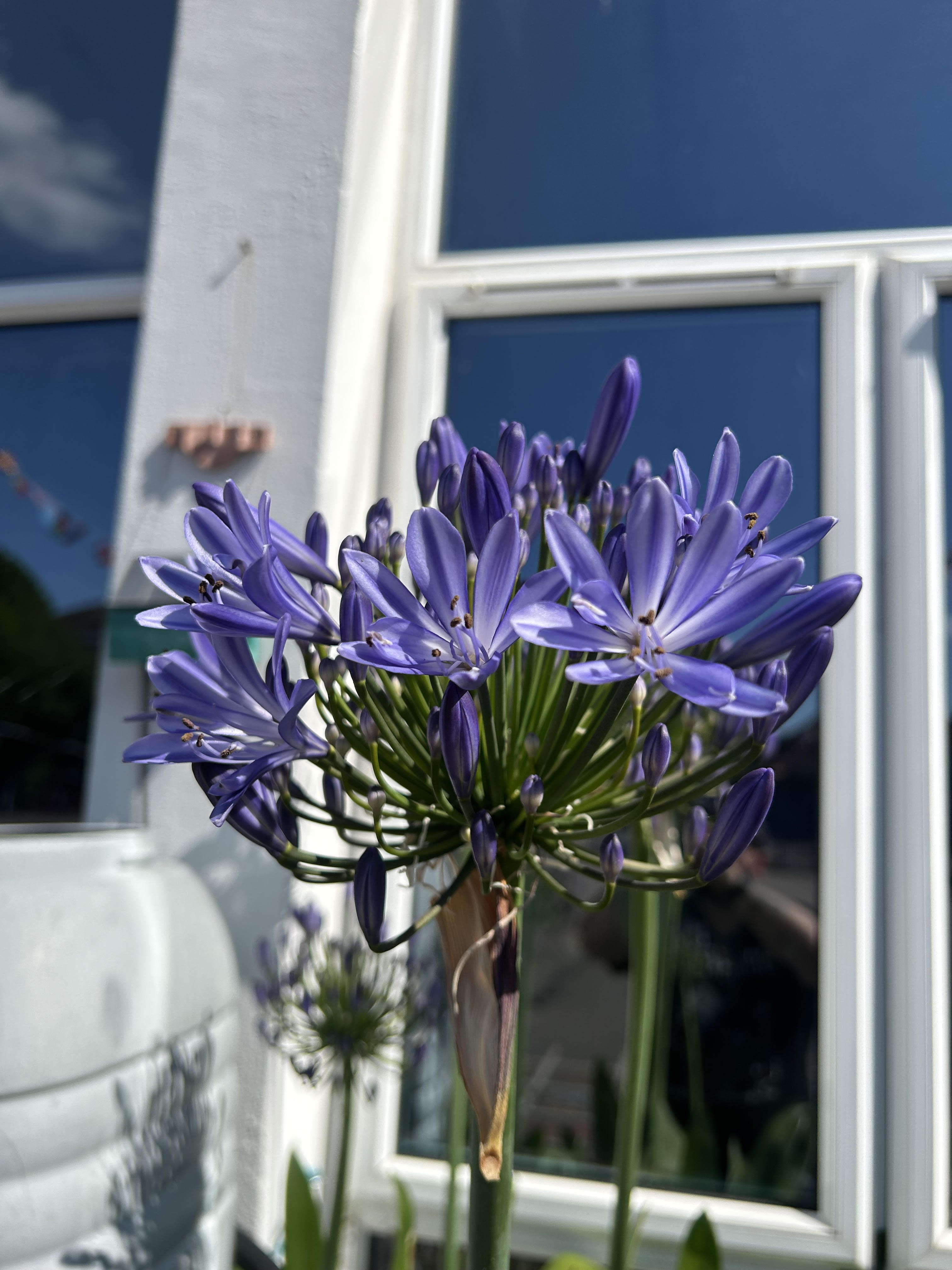 ©https://commons.wikimedia.org/wiki/User:Christer_T_Johansson